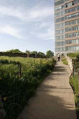 Accessible concrete paths winding up lush green hill at Irish Hunger Memorial