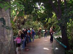 Amazonian forest zone of the Montreal Biodôme