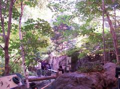 Laurentian forest zone in the Montreal Biodôme