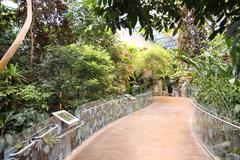 Tropical rainforest ecosystem at Montreal Biodome