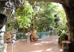 Tropical rainforest ecosystem at Montreal Biodome