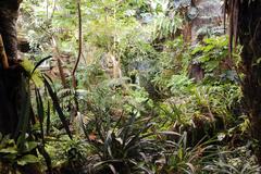 Tropical rainforest ecosystem at Montreal Biodome