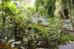 Tropical rainforest ecosystem at Montreal Biodome