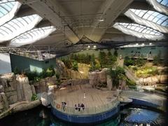 Internal view of the biodome looking into the Maple forest room