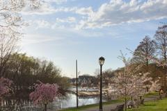 Boathouse Row in Spring