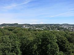 view from Sauvabelin Tower towards the north