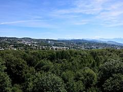 view from Sauvabelin Tower towards northeast