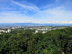 view from Sauvabelin Tower looking northwest