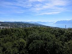 view from Sauvabelin Tower towards the east