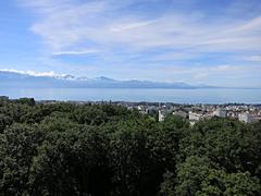 view from Sauvabelin Tower facing south