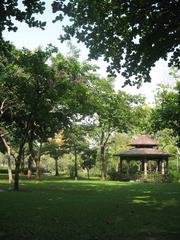 Queens Park serene view with trees and water