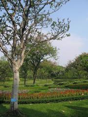 scenic view of Queens Park with clouds and greenery