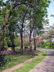 Queens Park panoramic view