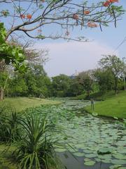 Queens Park near Jartujak Park with lush greenery