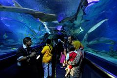 underwater tunnel in Aquaria KLCC