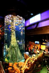 inside Aquaria KLCC aquarium