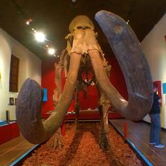 Mamut de Catarina monument in Mexico