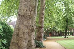 Geffrye Museum in August