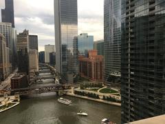 Chicago River at Wolf Point with cityscape