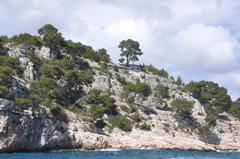 Calanque de Port Miou in Cassis, Provence-Alpes-Côte d'Azur, France