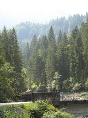 Bridge of Sales with le Rouget Waterfall in background