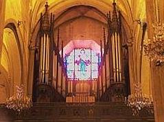 Toulon Cathedral with surrounding trees