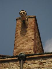 Gargoyle at Perpignan Cathedral