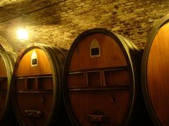 Historical wine cellar of Strasbourg civil hospices