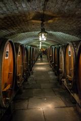 wine cellar with wooden barrels