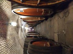 Barrels in a historic cave in Strasbourg, France