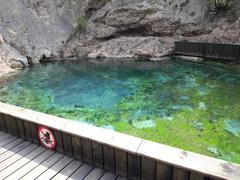 Cave and Basin bathing pavilion