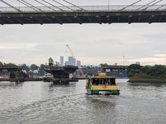 F10 Blackwattle Bay ferry under Glebe Island Bridge, Sydney