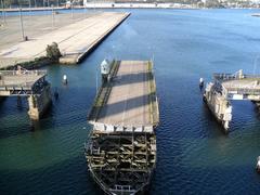 Johnstons Bay with Glebe Island Bridge