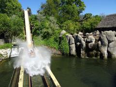 Anaconda roller coaster at Isla Mágica