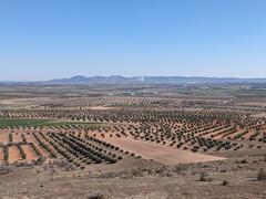 Scenic view from Almonacid de Toledo castle with Mora in the distance