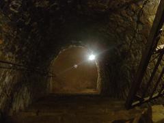 stairs of the cellar of Fougeret castle