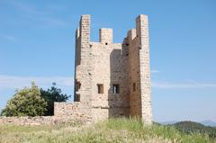 Ruins of the castle of Hyères