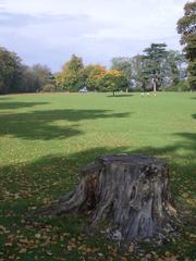 Grounds of Lauriston Castle looking northwest across open parkland