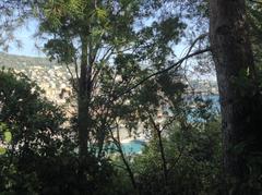 Scenic view of Colline du Château de Nice