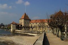 Schloss in Rolle, Switzerland