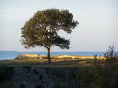 Citadel of Château-d'Oléron on Île d'Oléron