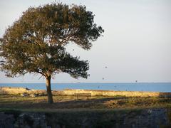 Citadel of Château-d'Oléron on Oléron Island