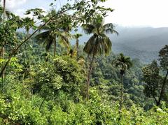 Madikeri village in Kodagu state with lush greenery and mist-covered hills