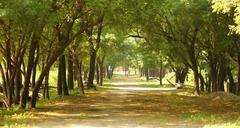 Beautiful landscape of Sultanpur National Park with lush greenery and birds