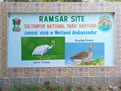 Signboard of Sultanpur National Park as a Ramsar Site