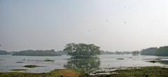 peaceful wetland scene at Sultanpur Bird Sanctuary with various birds on the water