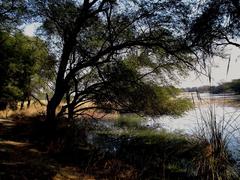 Sultanpur National Park in Haryana, India