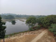 View of Sultanpur National Park wetland from a watch tower