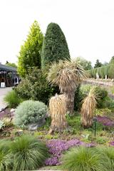 Denver Botanic Gardens with colorful flowers, fish, and cactus in view