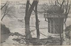 Postcard depicting Square du Vert-Galant and Pont Neuf flooded in Paris during the Seine flood in January 1910